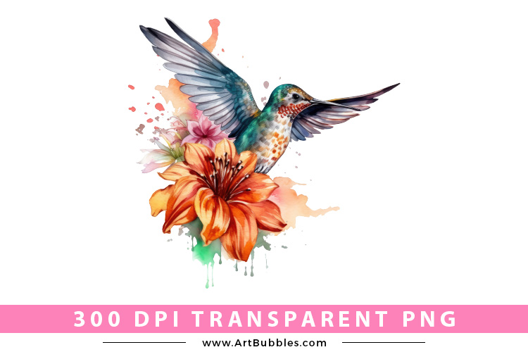Watercolor Floral Hummingbird Sublimation Clipart