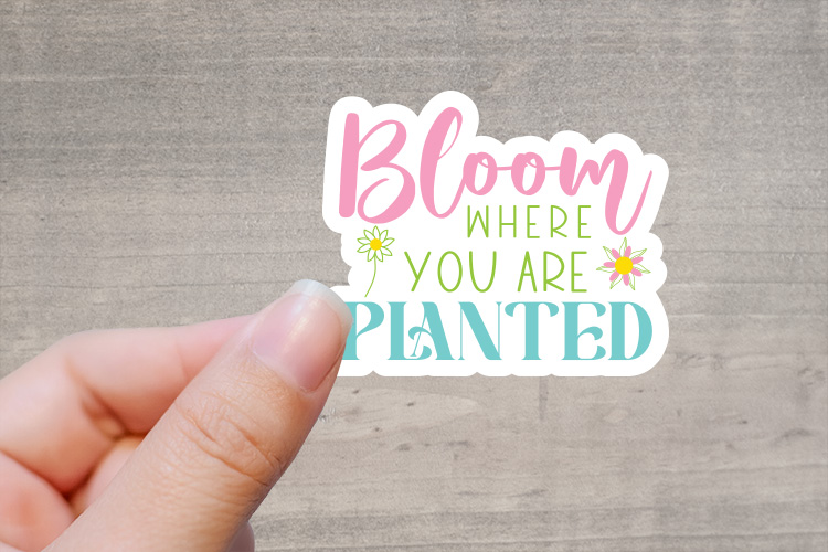 bloom where youre planted  Preview 03.jpg