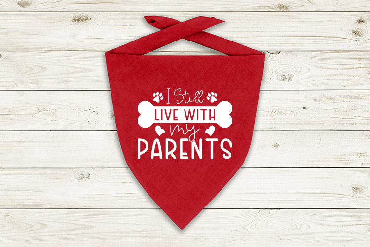 I still live with my parents Preview  02.jpg