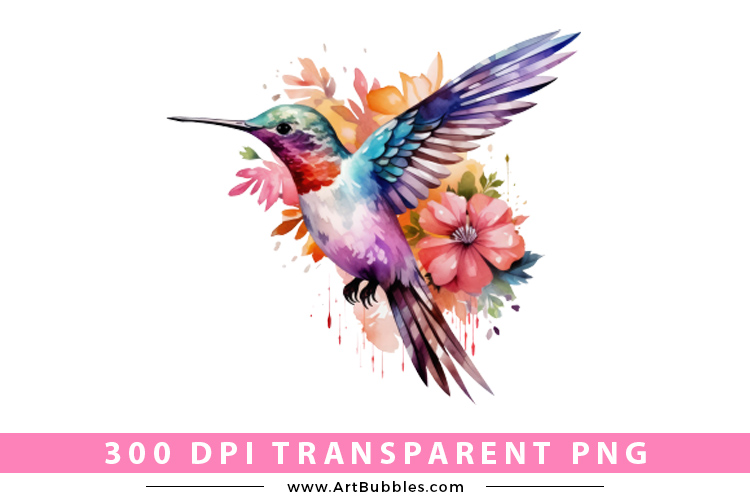Hummingbird  Sublimation Clipart Preview 01.jpg