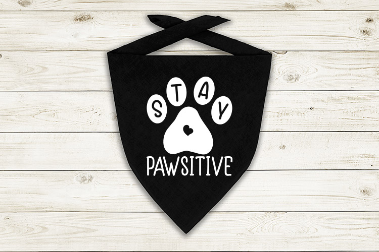 Stay pawsitive Preview  03.jpg