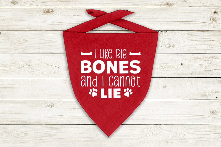 I like big bones and Preview  02.jpg