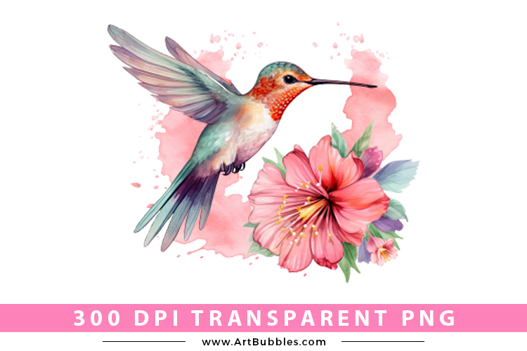 Hummingbird  Sublimation Clipart Preview 01.jpg