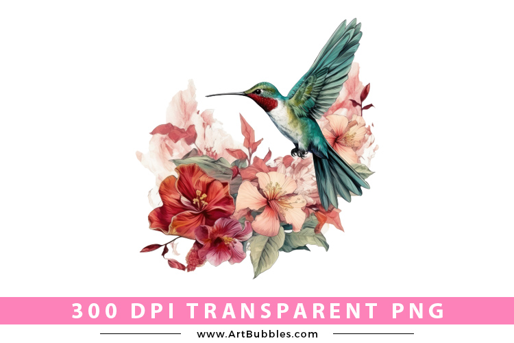 Hummingbird  Sublimation Clipart Preview 01.jpg