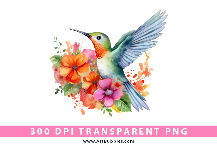 Watercolor Hummingbird Sublimation Clipart