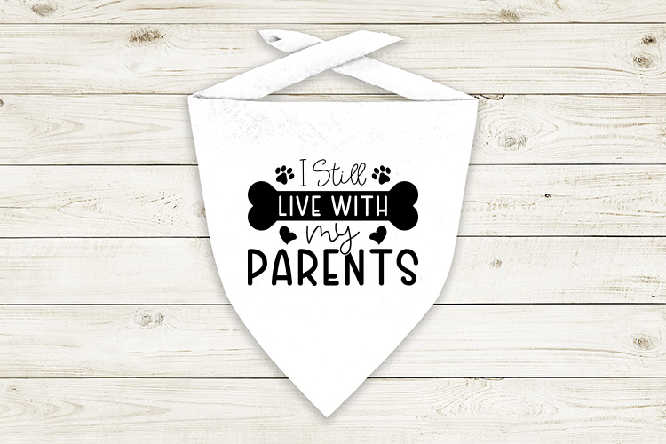 I still live with my parents Preview  04.jpg