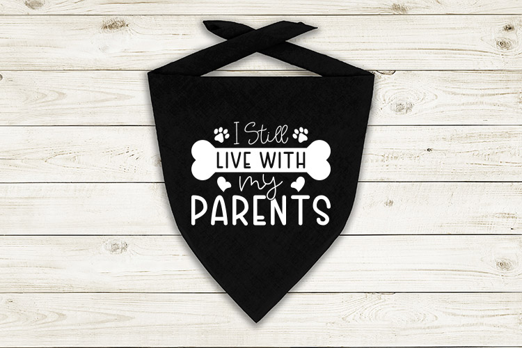 I still live with my parents Preview  03.jpg