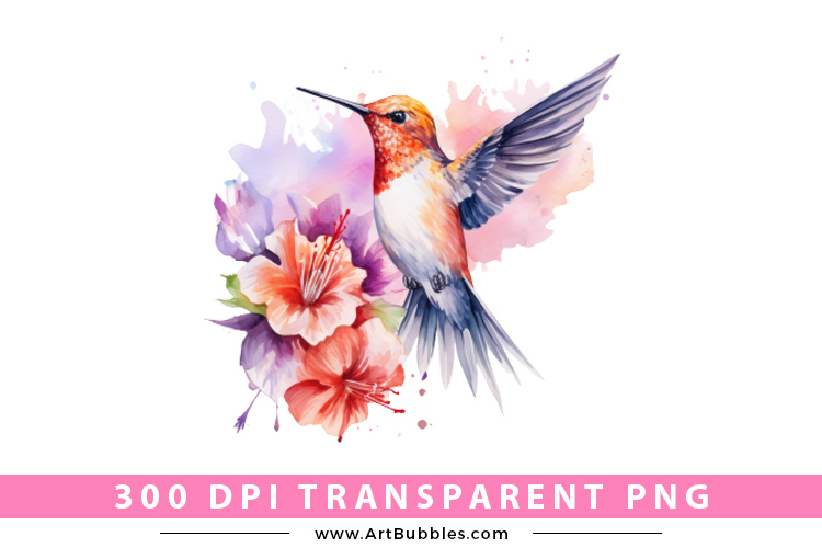 Hummingbird  Sublimation Clipart Preview 01.jpg