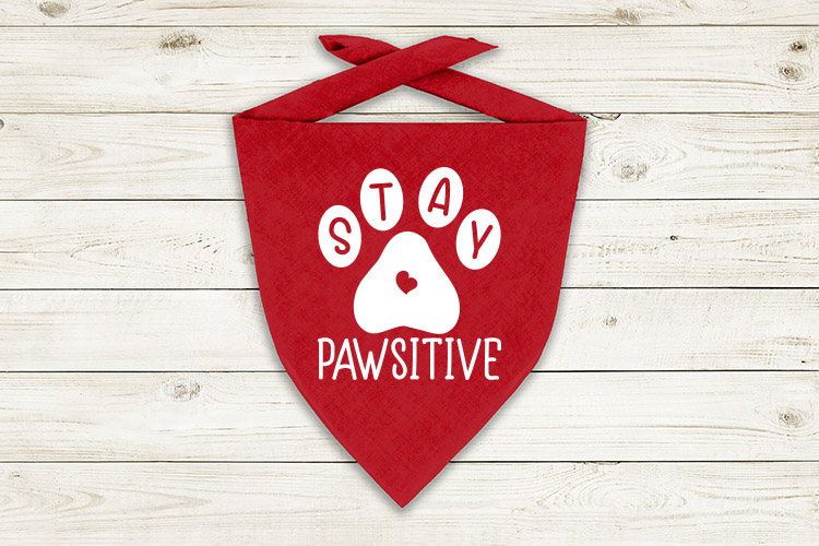 Stay pawsitive Preview  02.jpg