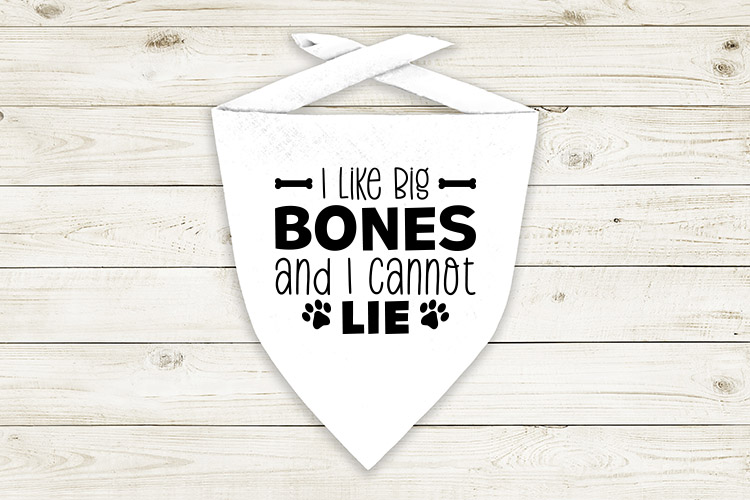 I like big bones and Preview  04.jpg