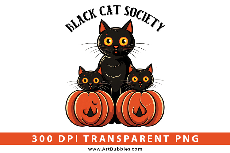 Black Cat Society Preview   01.jpg
