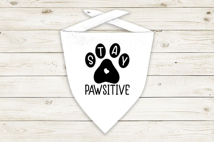 Stay pawsitive Preview  04.jpg